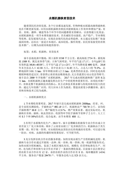 水稻机插秧育苗技术