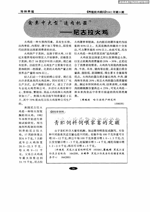 禽类中大型“造肉机器”—尼古拉火鸡