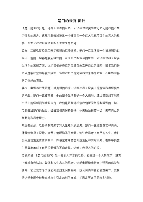 楚门的世界 影评