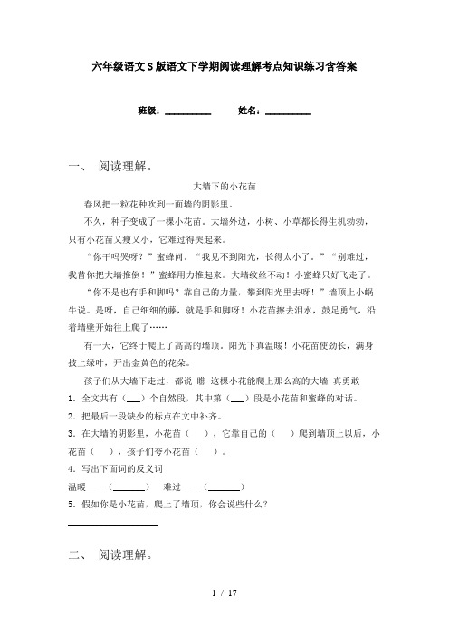 六年级语文S版语文下学期阅读理解考点知识练习含答案