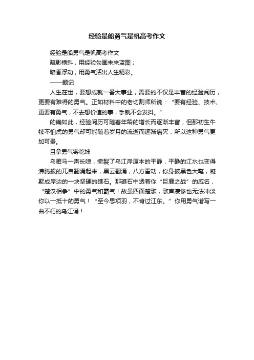 经验是船勇气是帆高考作文