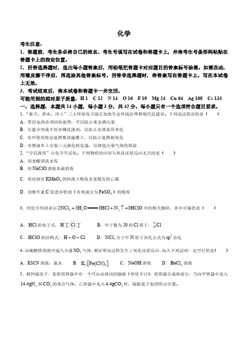 安徽省巢湖市第一中学2024届高三上学期10月月考试题 化学试题(含答案解析)