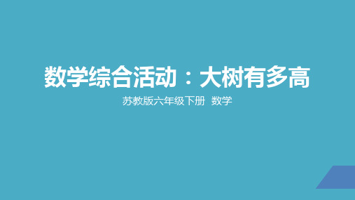 苏教版小学数学六年级下学期精品课件- 《综合实践：大树有多高》2课时