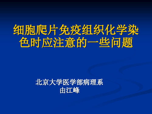 细胞爬片免疫组织化学染色注意事项