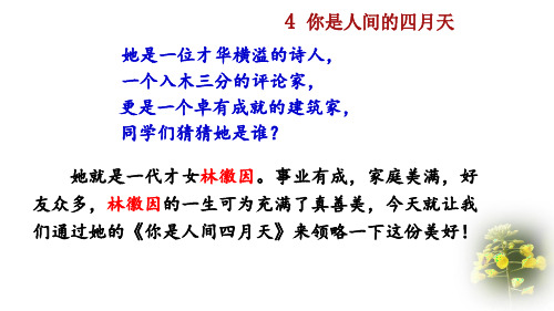 部编版九年级语文上册《你是人间的四月天》ppt课件