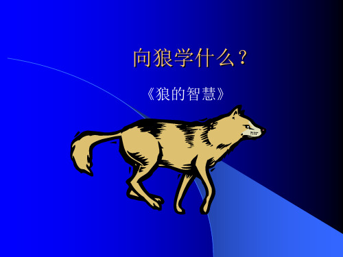 向狼学什么