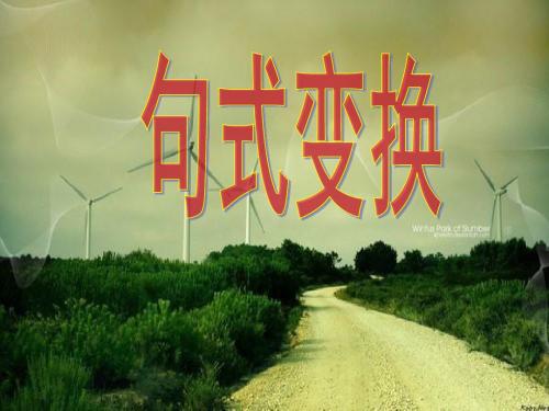 六年级小升初语文句式变换