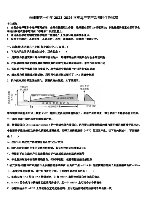 曲靖市第一中学2023-2024学年高三第三次测评生物试卷含解析