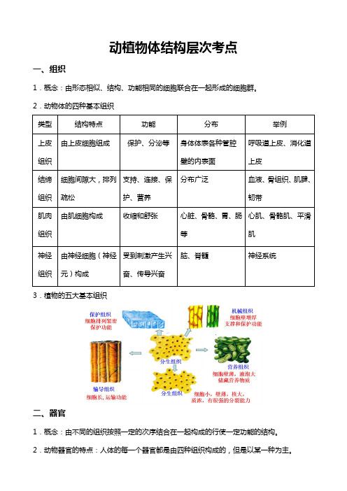 动植物体结构层次考点