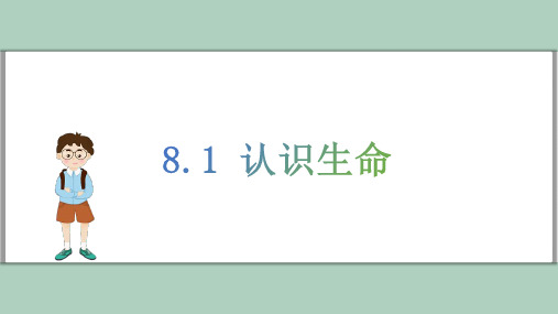 8.1 认识生命课件(17张PPT内嵌视频) 道德与法治统编版七年级上册