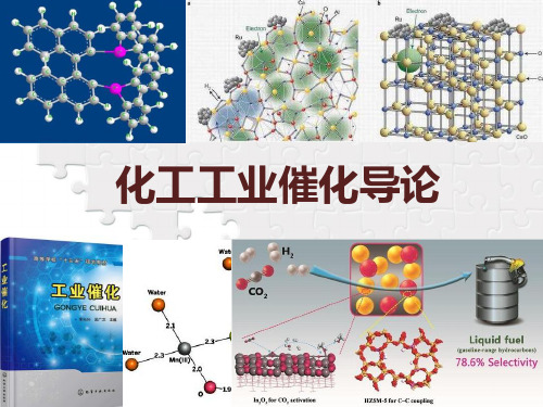 化工工业催化导论4各种催化剂及其催化作用