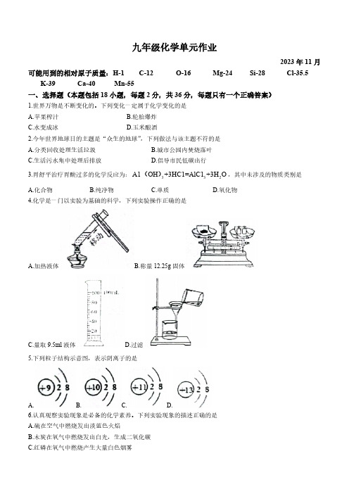 山东省临沂市沂水县2023-2024学年九年级上学期期中化学试题(含答案)