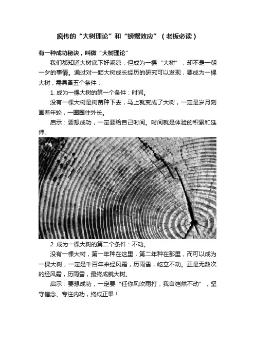 疯传的“大树理论”和“螃蟹效应”(老板必读)
