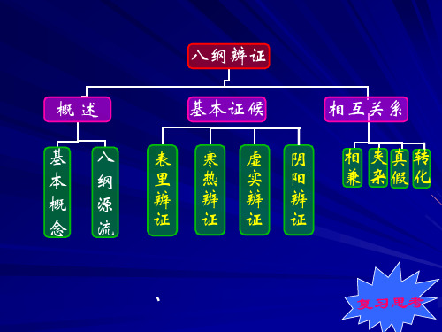 中医诊断学-八纲辨证