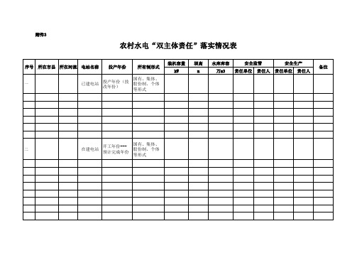 农村水电“双主体责任”落实情况表