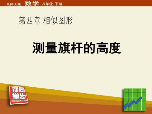 《测量旗杆的高度》相似图形PPT课件