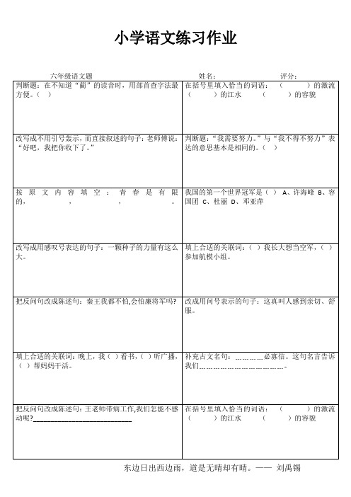 小学六年级语文提高训练 (96)