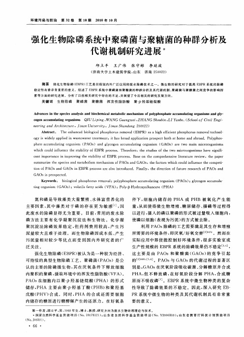 强化生物除磷系统中聚磷菌与聚糖菌的种群分析及代谢机制研究进展