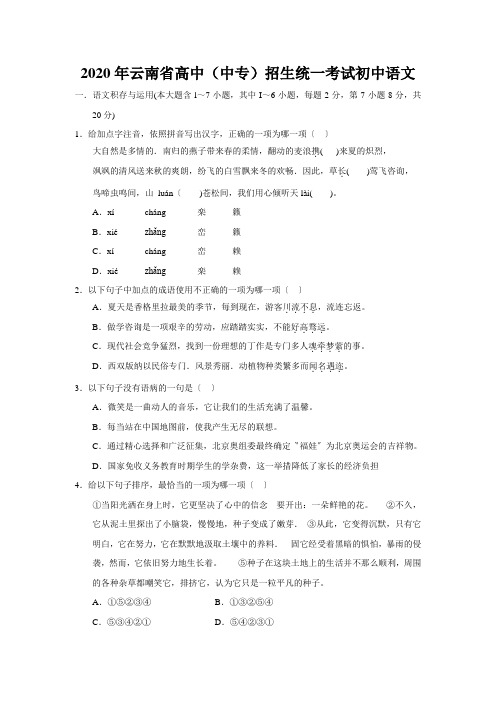 2020年云南省高中(中专)招生统一考试初中语文