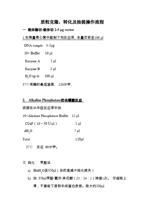 质粒克隆