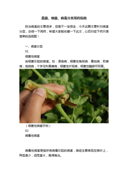 真菌、细菌、病毒分类用药指南