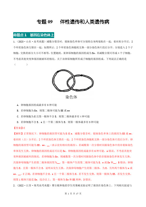 专题09 伴性遗传和人类遗传病(解析版)2021-2024高考生物真题分项汇编(全国通用)