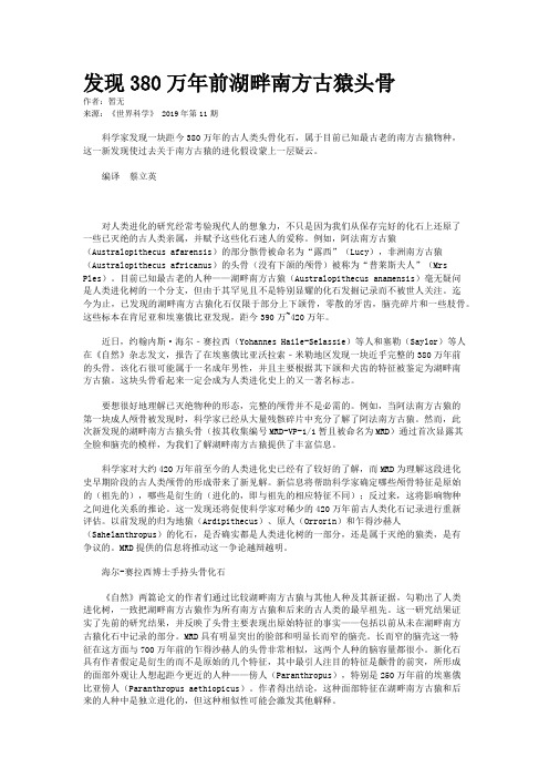 发现380万年前湖畔南方古猿头骨