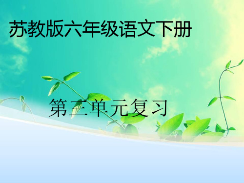 苏教版六年级语文下册第三单元复习.ppt123剖析