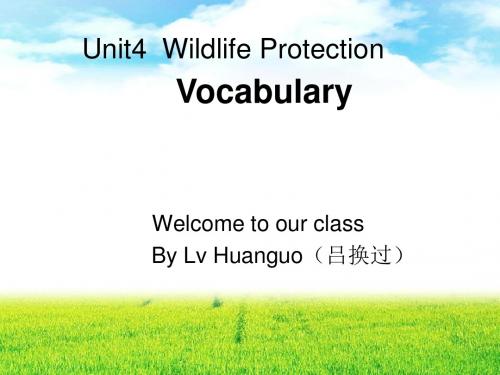 高一英语必修2unit4wildlifeprotection词汇新授课区公开课1