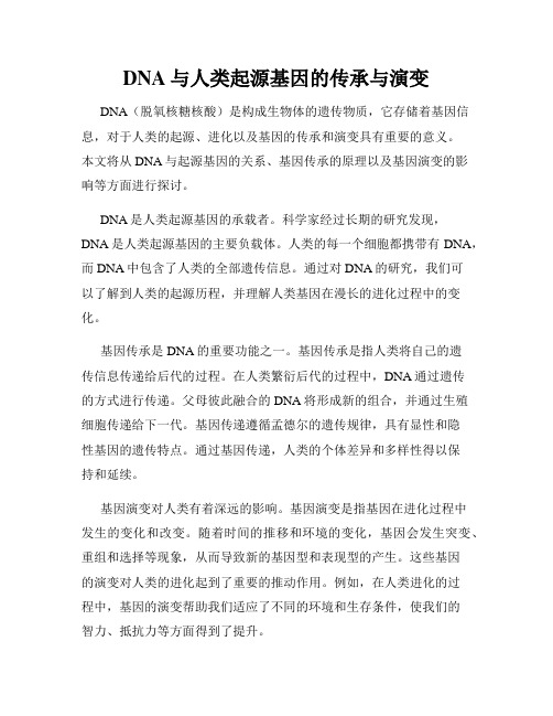 DNA与人类起源基因的传承与演变