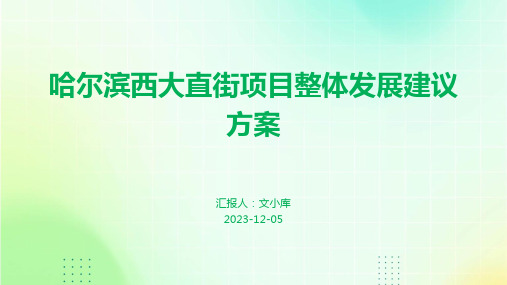 哈尔滨西大直街项目整体发展建议方案