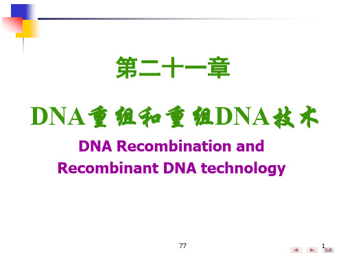 DNA重组及重组DNA技术