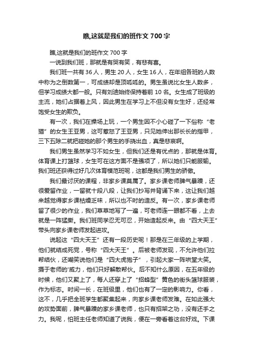 瞧,这就是我们的班作文700字