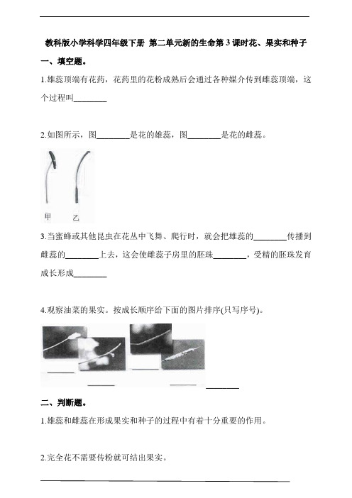 教科版小学科学四年级下册 第二单元新的生命第3课时花、果实和种子  同步习题(含答案解析)