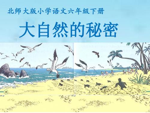 北师大版小学语文六年级下册《五 冲突 小抄写员》优质课教学PPT课件_1