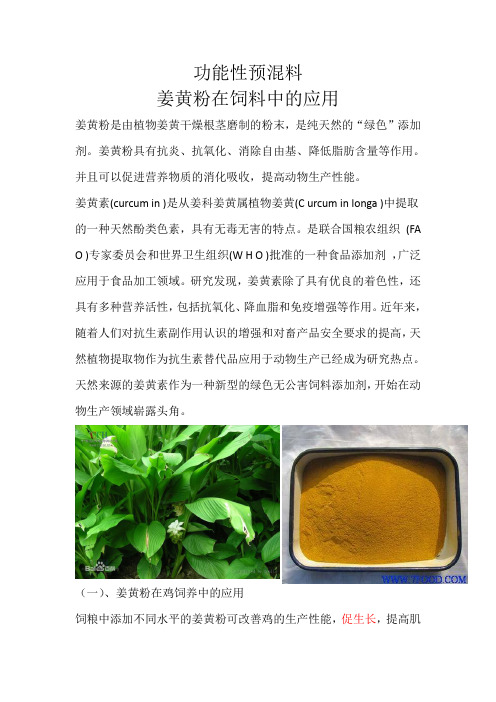 第二代功能性预混料姜黄粉