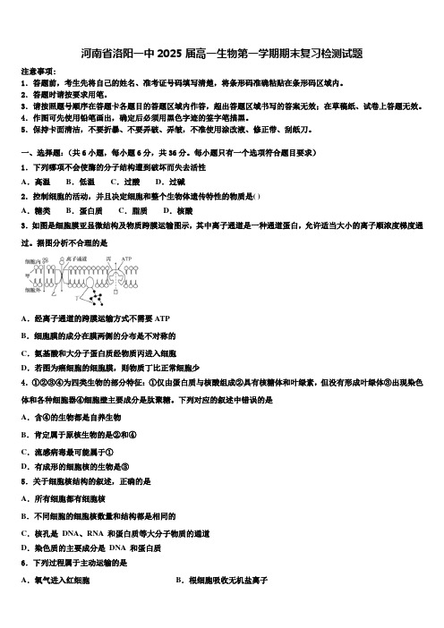 河南省洛阳一中2025届高一生物第一学期期末复习检测试题含解析