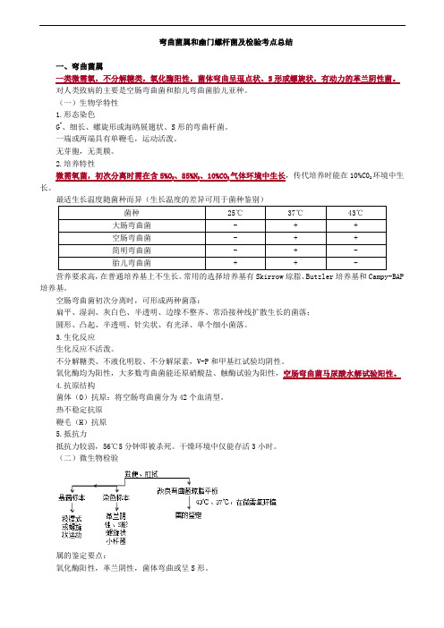  弯曲菌属和幽门螺杆菌及检验考点总结