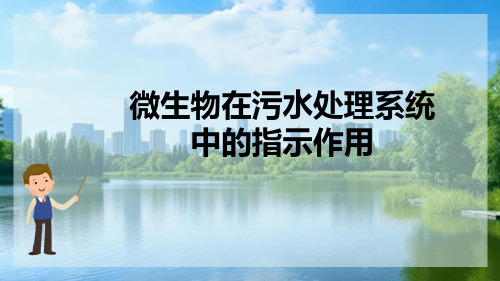 微生物在污泥处理中的应用—活性污泥生物相观察判定污水处理系统运行效果