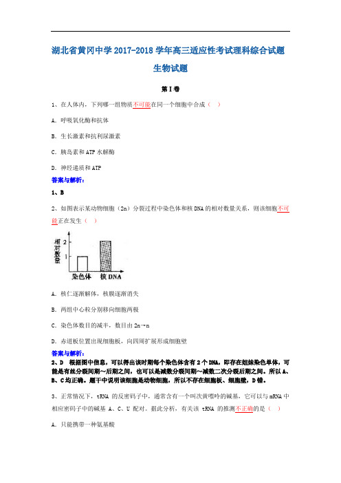 湖北省黄冈中学2017-2018学年高三适应性考试理科综合试题生物试题 Word版含答案