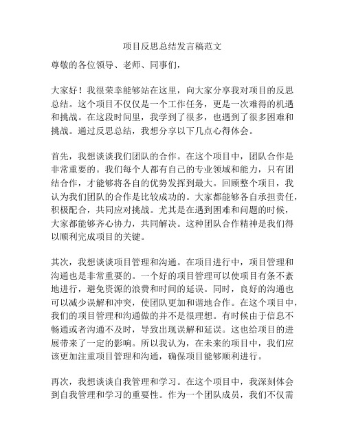 项目反思总结发言稿范文