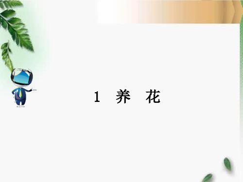 人教六年级语文下册综合复习课文原文