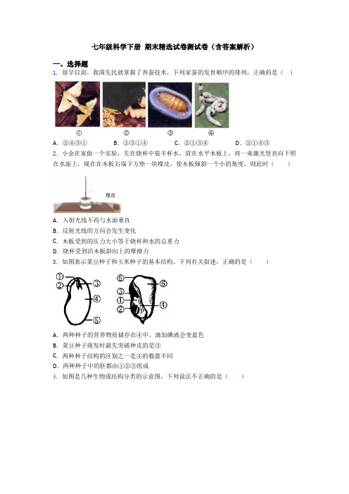 七年级科学下册 期末精选试卷测试卷(含答案解析)