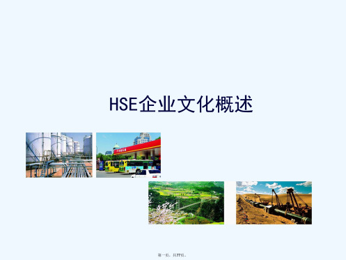 《HSE企业文化概述》PPT课件