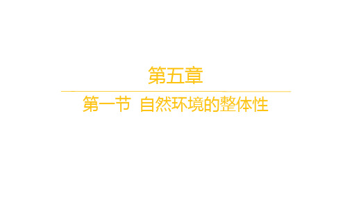 人教版高中地理选择性必修1自然地理基础 精品课件 第五章 第一节 自然环境的整体性