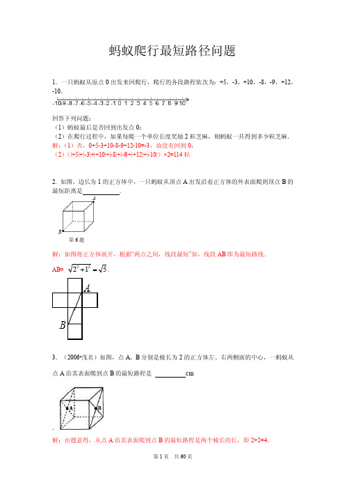 蚂蚁爬行最短路径【优质】