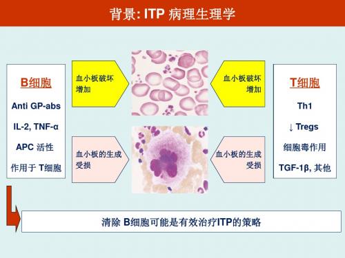 ITP(特发性血小板减少性紫癜)治疗流程图原始