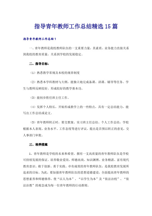 指导青年教师工作总结精选15篇