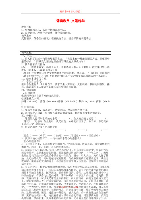 【最新精选】江苏省泗洪县城头实验学校初中部九年级语文下册 第三单元 诵读欣赏 文笔精华教案 苏教版.doc