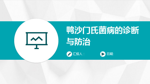 鸭沙门氏菌病的诊断与防治